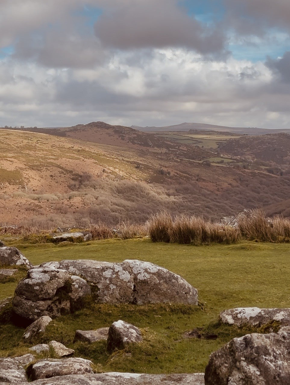 Moorland Collection
