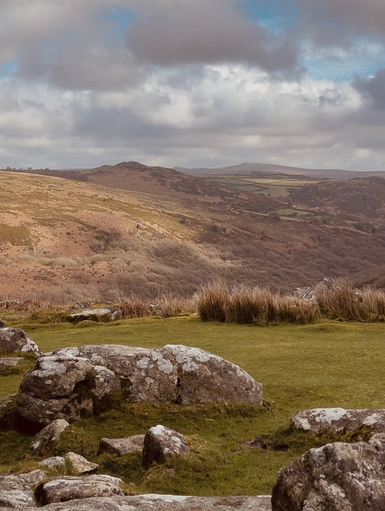 Moorland Collection