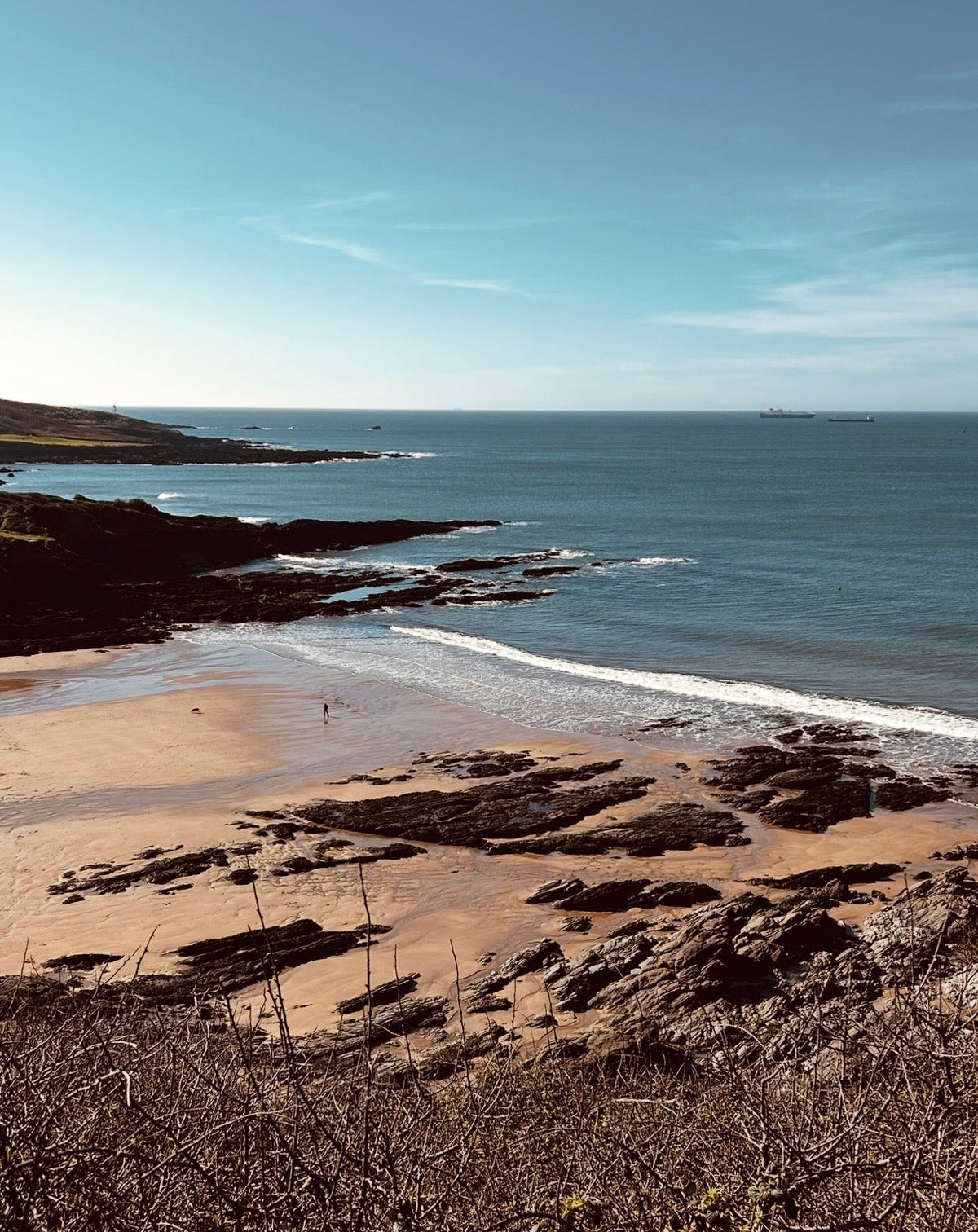 Coastal collection